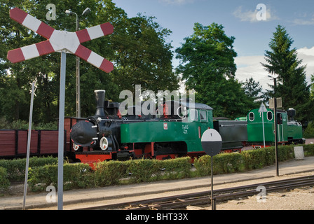 Schmalspur-Dampflokomotive im Museum in Wenecja in der Nähe von Biskupin, Kujawien-Pomorskie, Polen Stockfoto