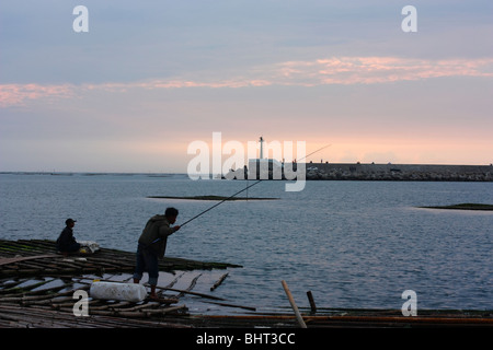 Einheimische Fische aus zerstörten Auster Regale in AnPing Hafen bei Sonnenuntergang. Tainan, Taiwan Stockfoto