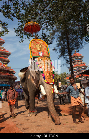 Aufgezäumtes Indien, Kerala, Koorkancherry Sree Maheswaras Tempel, Thaipooya Mahotsavam Festival Elefanten ankommen Stockfoto