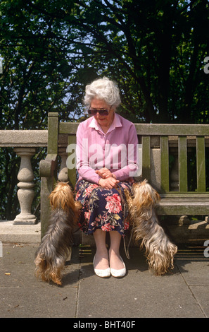 Eine ältere Dame hat auf einer Strandpromenade mit ihrem geliebten Haustier Yorkshire Terrier einher. Stockfoto