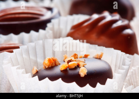 Auswahl an leckeren dunklen belgischen Pralinen Stockfoto