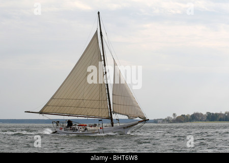 Skipjack H.M KRENTZ unter Segel Stockfoto