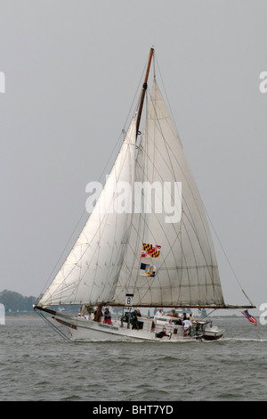 Skipjack MARTHA LEWIS in den jährlichen Skipjack-Rennen Stockfoto