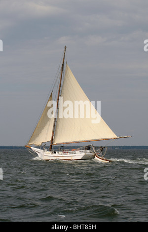 Skipjack H.M KRENTZ unter Segel Stockfoto