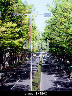 Omotesando, Shibuya, Tokyo, Japan Stockfoto