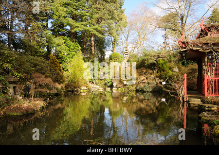 Japanischer Garten auf Compton Acres Stockfoto