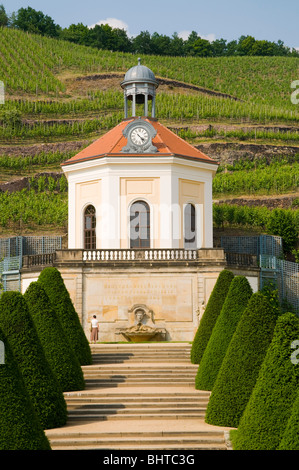 Schloss Wackerbarth, Vinothek, Garten mit Belvedere und Weinberge in Radebeul in der Nähe von Dresden, Deutschland Stockfoto