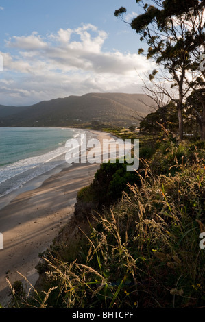 Eagle Hawk Hals Strand bei Sonnenuntergang, Tasman Halbinsel, Tasmanien, Australien Stockfoto