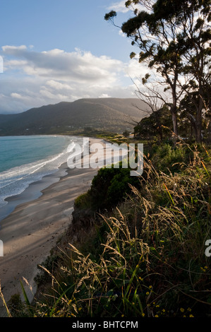 Eagle Hawk Hals Strand bei Sonnenuntergang, Tasman Halbinsel, Tasmanien, Australien Stockfoto