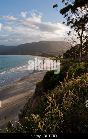 Eagle Hawk Hals Strand bei Sonnenuntergang, Tasman Halbinsel, Tasmanien, Australien Stockfoto