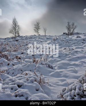 Winter-Landschaft, Schnee bedeckt den Boden und auf Bäumen im Sharpley Rocks, in der Nähe von Mount St Bernard Abtei Stockfoto