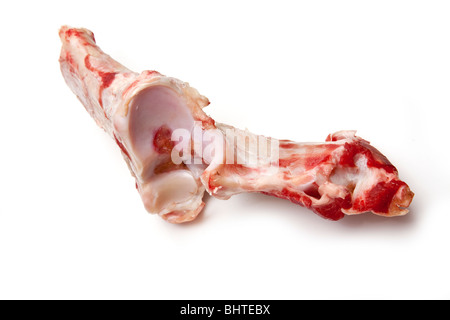 Rindfleisch Achsschenkel Hunde Knochen isoliert auf einem weißen Studio-Hintergrund. Stockfoto