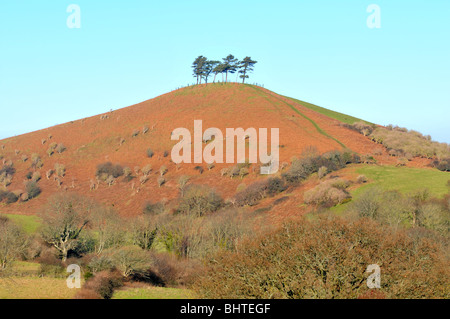 Colmers Hill, Colmer Hügel, Dorset, England, UK Stockfoto