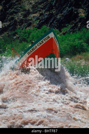 Grand Canyon Dory fliegen und über riesige Welle bei schnellen Einsiedler am Colorado River im Grand Canyon Stockfoto