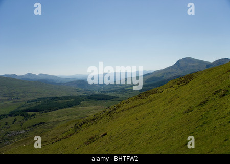 Beddgelert Wald von Nantlle Grat oberhalb Dorf Rhyd Ddu in Snowdonia, Nordwales Stockfoto