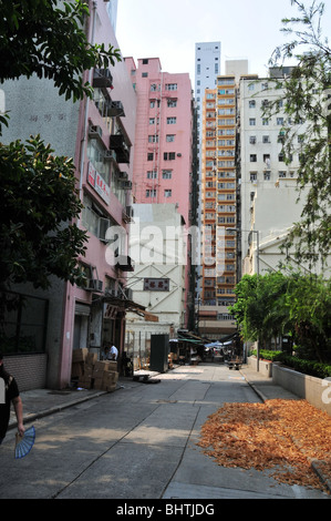 Frau hält einen offenen Ventilator zu Fuß durch Fisch Maw Trocknen auf dem Bürgersteig einer Seitenstraße in der Nähe von Queens Road West, Hong Kong, China Stockfoto