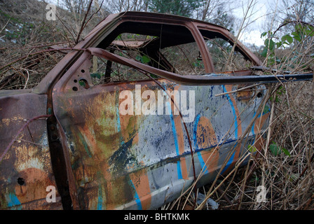 Gestohlen, ausgebrannt, verrostet, verlassen Auto mit den Überresten des Graffiti. Stockfoto