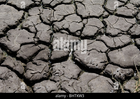 Flussbett mit rissige Erde und Schlamm ausgetrocknet Stockfoto