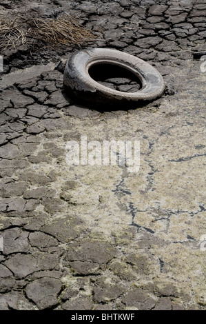 Autoreifen geworfen in einen Fluss, der endete im Schlamm des Flusses stecken. Stockfoto