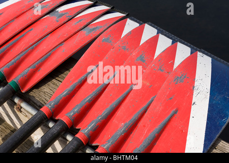 Ruder für ein Crew-Team aufgereiht auf einem Dock in Vorbereitung vor einem Rennen. Stockfoto