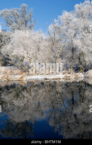 Bäume Abdeckung bedeckt weißer Raureif Teppich Decke weißen Schnee strahlend blauen Himmel spiegeln Reflexion Flussbad See Teich Stockfoto