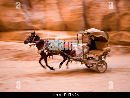 Pferd und Kutsche, Reiten durch die Al-Siq-Schlucht, die Treasury Building auf die antike Stadt Petra in Wadi Musa, Jordanien. Stockfoto