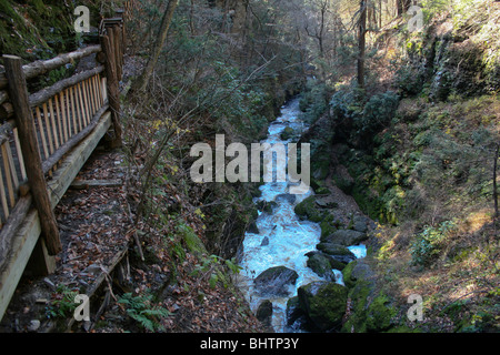 Einer der vielen plätschernden Bäche in die Delaware Water Gap National Recreation Bereich der Ost-Pennsylvania Stockfoto