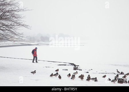 Mann, der im Winterschnee neben einem gefrorenen Castle Semple Loch, Clyde Muirshiel Regional Park, Lochwinnoch, Schottland UK, läuft Stockfoto