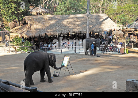 Elefanten malen auf Maesa Elephant Camp in der Nähe von Chiang Mai, Thailand Stockfoto