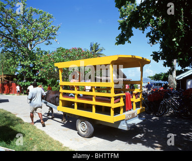 Bullock Cart fahren, Anse Source d ' Argent, La Digue, Inner Islands, Seychellen Stockfoto