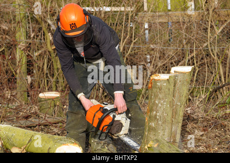 Mann trägt schwer Schutzhelm und Visier mit einer Kettensäge, um Bäume zu schneiden. Stockfoto