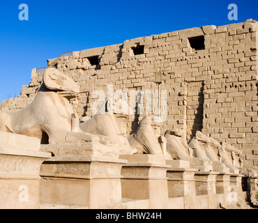 RAM-Statuen im Tempel von Karnak in Luxor, Ägypten. Stockfoto