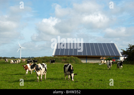 Große Solaranlage auf landwirtschaftliche Gebäude Deutschlands. Windturbine neben Gebäude. Stockfoto