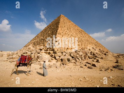 Kamele bei den Pyramiden von Gizeh in Kairo, Ägypten. Stockfoto