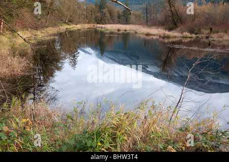 Diese wunderschöne Landschaft Szene zeigt einen Sumpf, das in der Nähe Schnee reflektierende Berg weg vom Wasser bedeckt. Hamilton, Washington USA Stockfoto