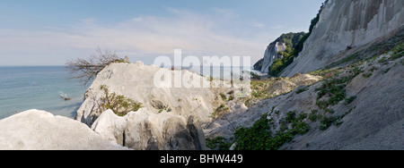 Klippen von Møn, spektakuläre Sehenswürdigkeit im Osten von Dänemark; Verbleibenden Kreide von einem Erdrutsch in 07 um "Store Taler' 09 zu sehen. Stockfoto