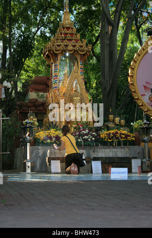 Buddha-Statue unter Bäumen, Bangkok, Thailand. Stockfoto