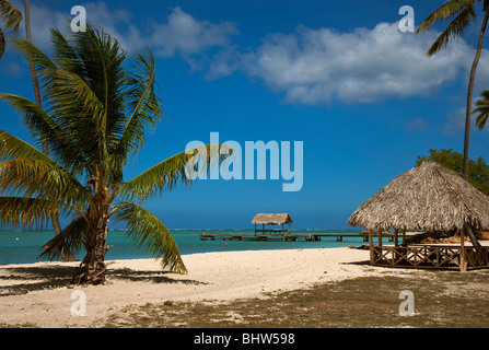 Das Strohdach Steg am Pigeon Point Heritage Park Tobago gegen einen blauen Himmel und türkisblauem Meer. Stockfoto