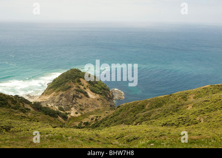 Cape Reinga, Neuseeland Stockfoto