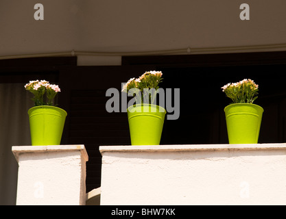Blumenkübel Dekoration wohnen Balkon in Pefkohori auf der Halbinsel Kassandra Chalkidiki Griechenland Stockfoto