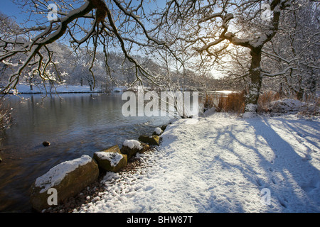 Schnee am Cannop Teiche im Wald von Dean, Gloucestershire. Stockfoto