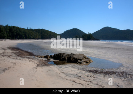 Eine verlassener Strand-Szene am St. Josef Bay Vancouver Island BC Kanada im Juli näherte sich durch Cape Scott Provincial Park Stockfoto