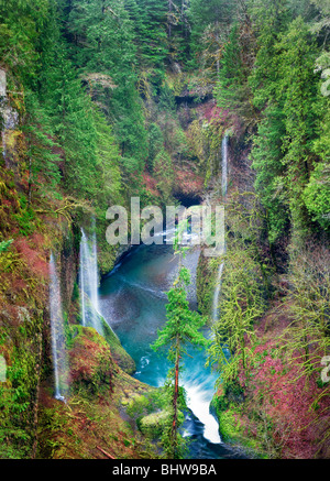 Saisonalen Wasserfälle (unbenannt) in Eagle Creek. Columbia River Gorge National Scenic Bereich, Oregon Stockfoto