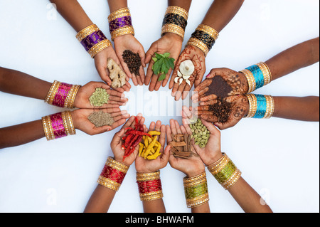 Indische Kinderhände halten verschiedene indische Küche Gewürze auf weißem Hintergrund Stockfoto