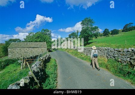 Ein Spaziergang durch die englische Landschaft, Langstrothdale Tal, Dales Weg Fußweg, Yorkshire Dales National Park, England Stockfoto