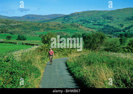 Ein Spaziergang durch die englische Landschaft unterwegs Dales im Lake District National Park in der Nähe von Staveley, Cumbria, England Stockfoto