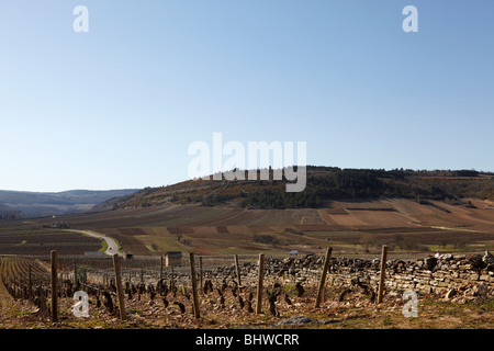 Weingut in Burgund, Frankreich Stockfoto