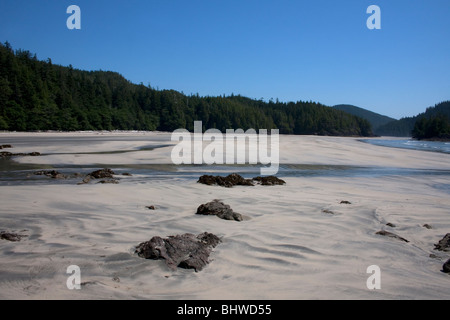 Eine verlassener Strand-Szene am St. Josef Bay Vancouver Island BC Kanada im Juli näherte sich durch Cape Scott Provincial Park Stockfoto