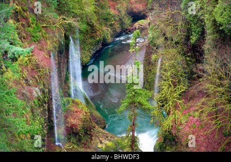 Saisonalen Wasserfälle (unbenannt) in Eagle Creek. Columbia River Gorge National Scenic Bereich, Oregon Stockfoto