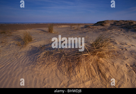 Dünen und Strand an der Saltfleetby Theddlethorpe National Nature Reserve Lincolnshire in England Stockfoto